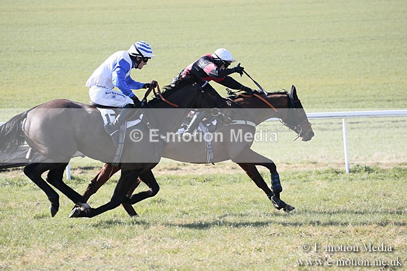 PtP 240218 76 - Vine & Craven Hunt Point-to-Point Barbury racecourse 24/02/18