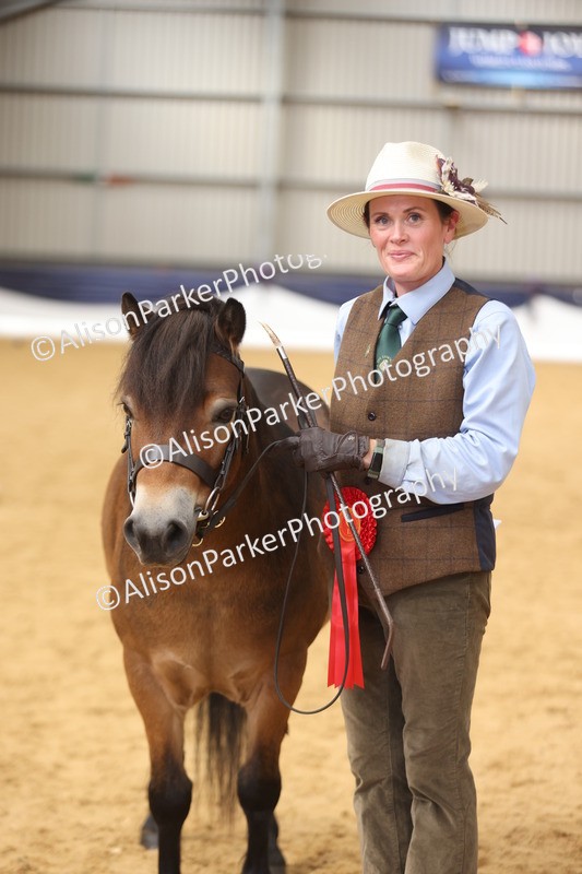 20260913-1730 - Class 115 - Gelding 4years and over