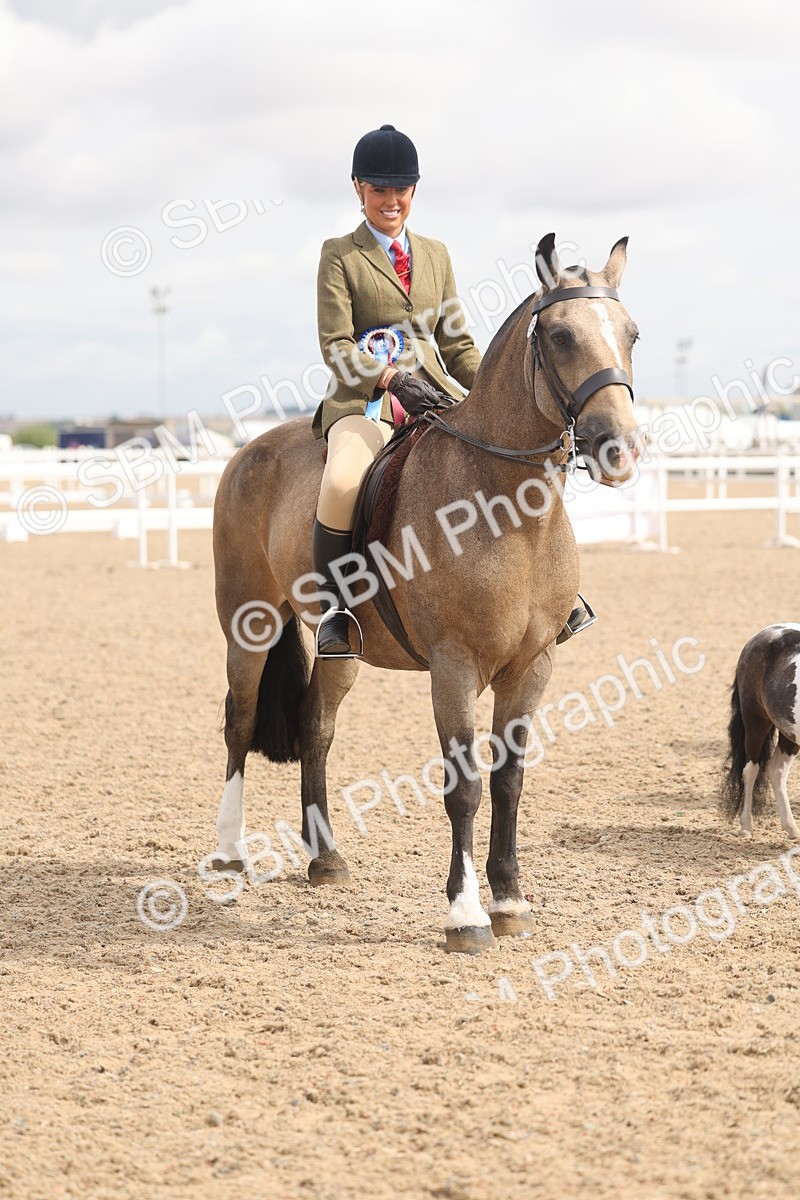 SBM_04578 - Class 19 - Horse/Pony Judge would most like to take home