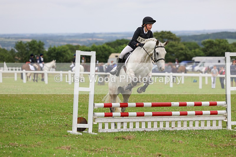 3E7A3004 - Class 1: Open 70cm (Not all Competitors)