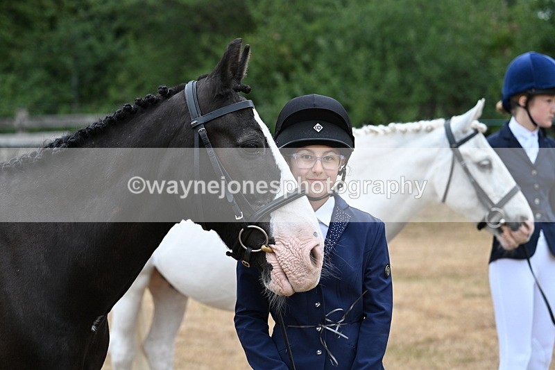 WJ7_9529 - Class 5 Most Handsome Gelding (up to 14.2hh)