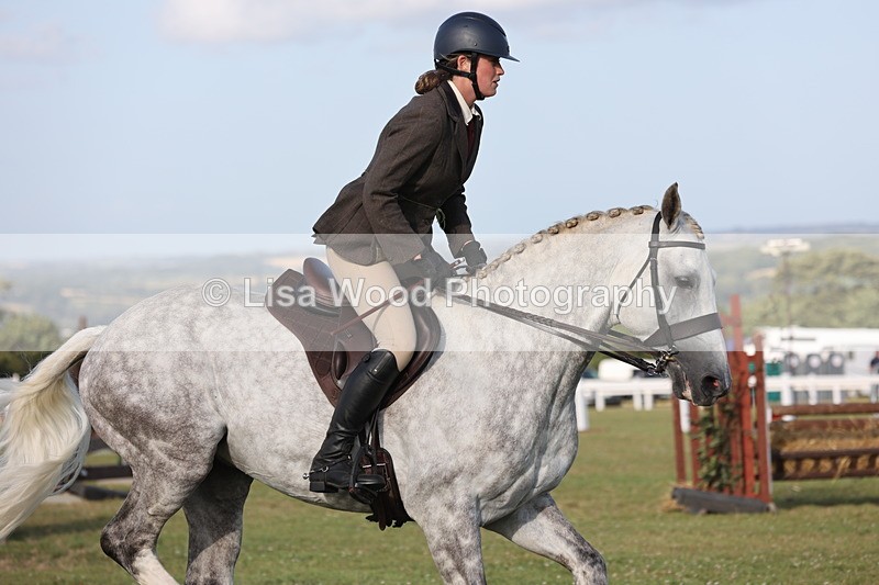 JPP_3408 - Class 22: Working Hunter 90cm