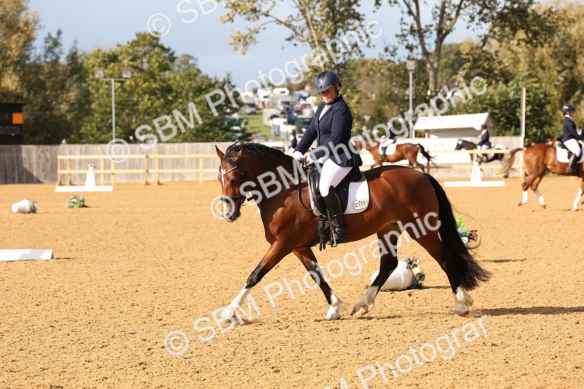 SBM_27005 - D17 - Grand Tour Championship Novice 3