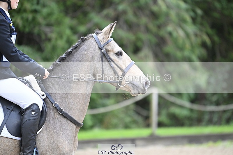 251005A-100413-03230 - Cls 03 GR 60cm