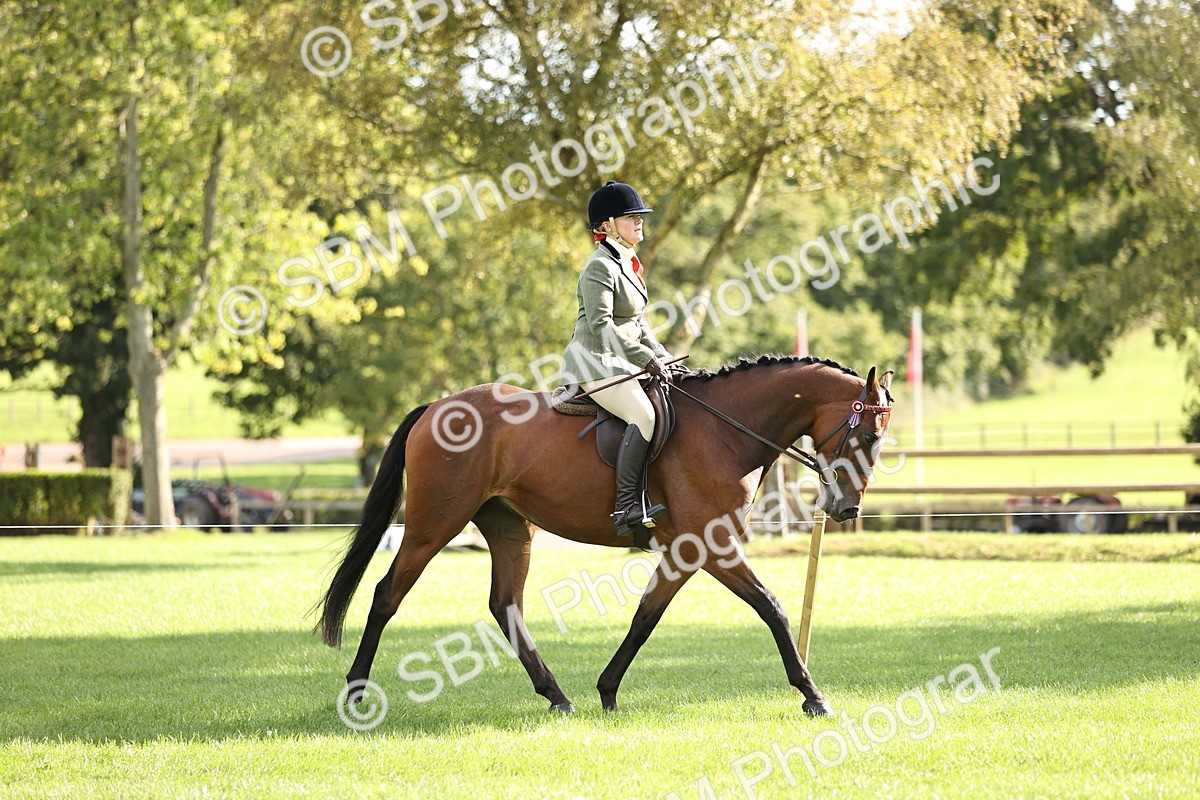 SBM_26371 - S6 - Novice & Newcomers Ridden Horse