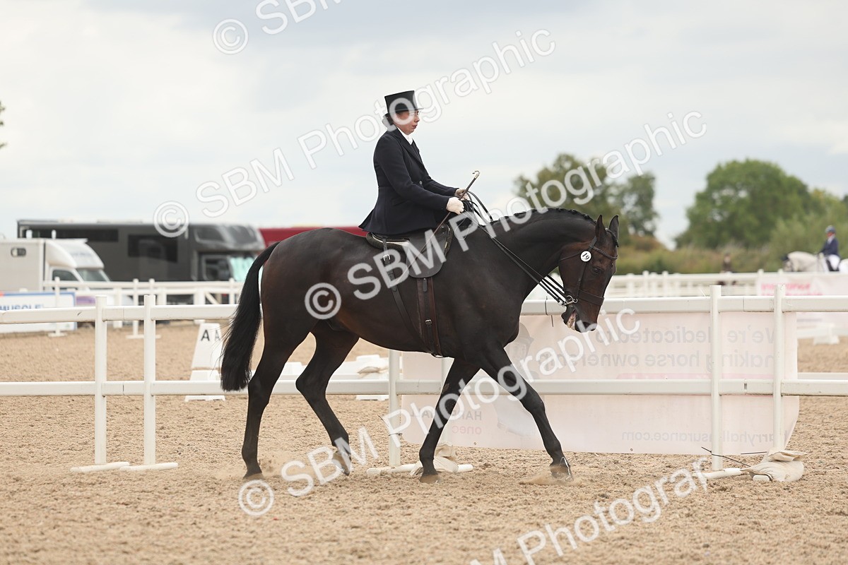 SBM_06411 - Class 23 - SSA - Classical