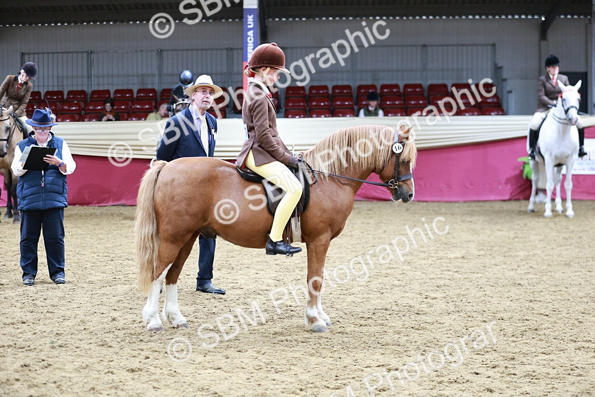 SBM_03565 - Class 6A Area Ridden Pre-Vet