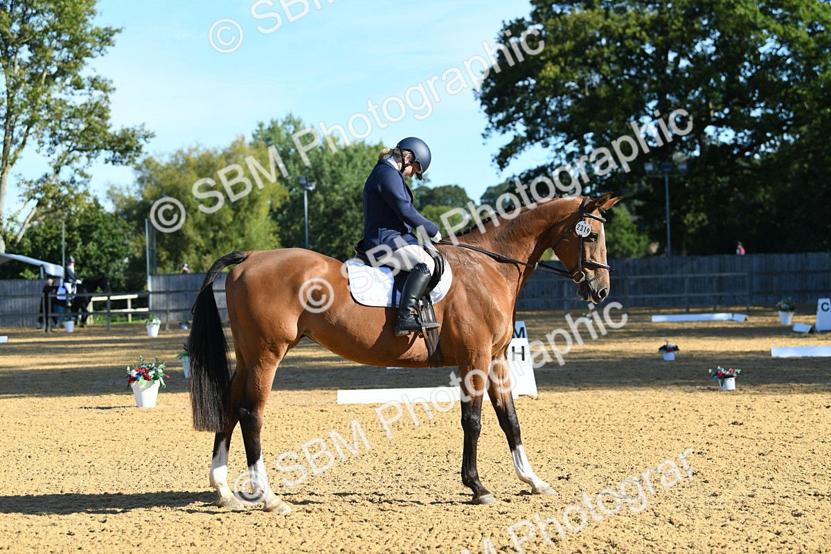 SBM_16233 - D4 - Small Tour Championship - Intro B