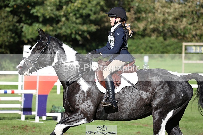 231022-143943-28273 - 438-KILCORBAN.MY.FAIR.LADY-Natasha.Crapper-TrotUp+SJ