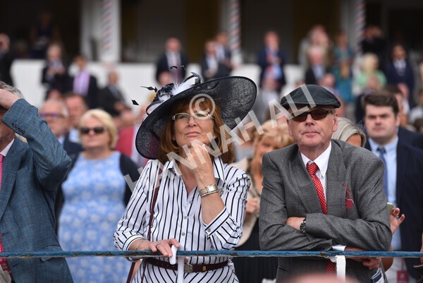 yr17082022r5-34 - Race 5 4.10pm Sky Bet Stayers Stakes