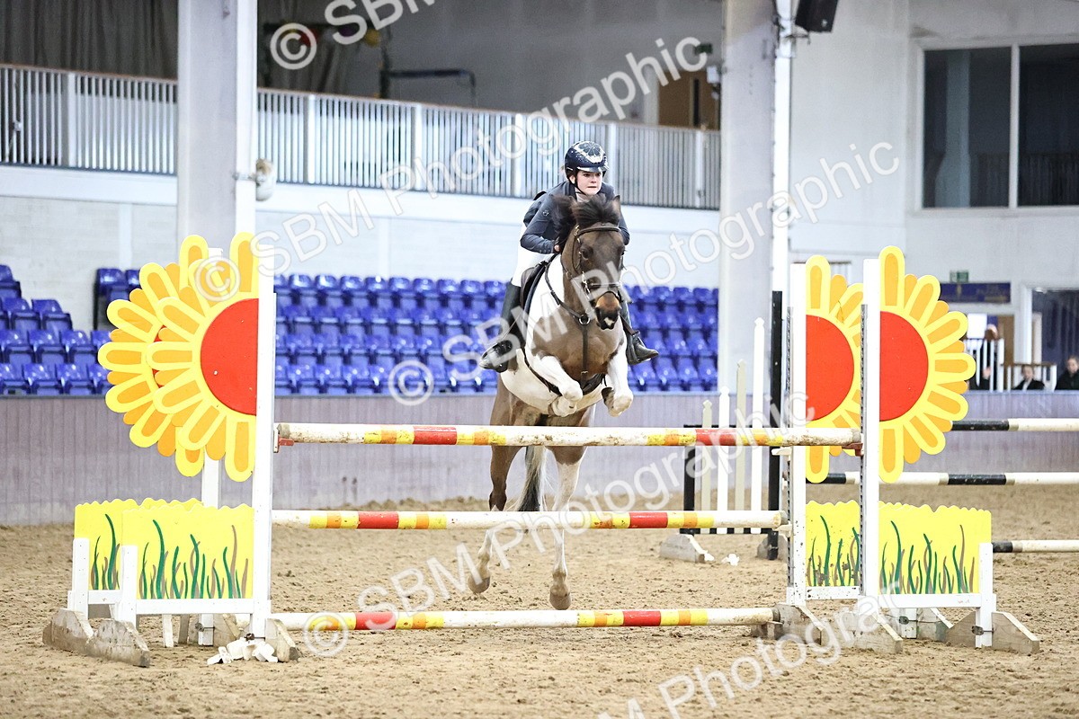 SBM_001913 - Class 12 - Pony Foxhunter - 1.10m