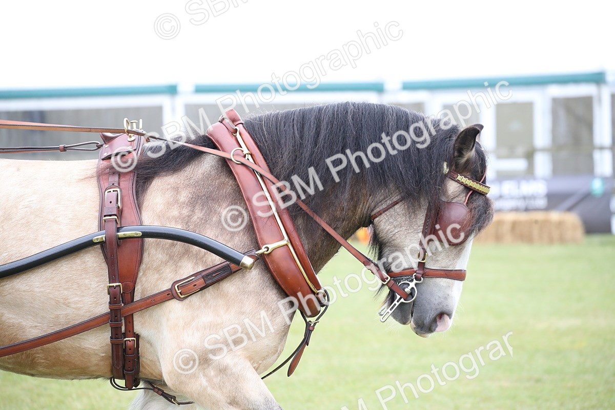 SBM_05663 - Class 12-15 - HOYS Private Driving