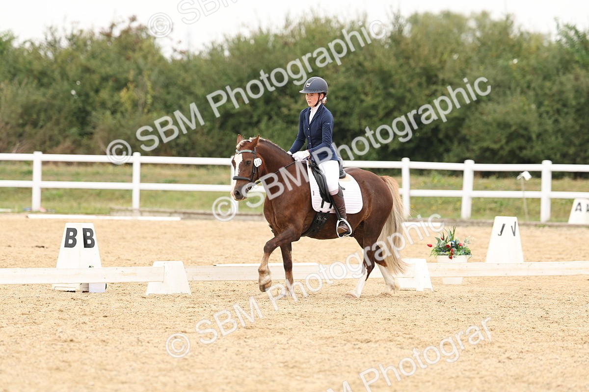 SBM_01058 - Class 8 - Novice 27 Champs