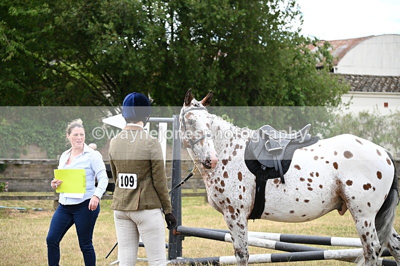 WJ6_3838 - Class 9 Tack & Turnout