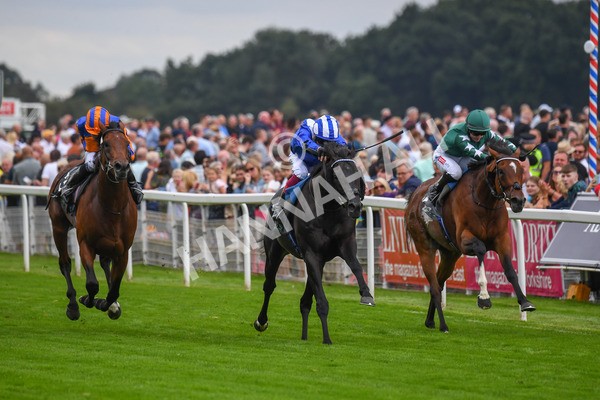230823-Race 4-Mostahdaf-0572 - Race 4 3.35pm Juddmonte International Stakes