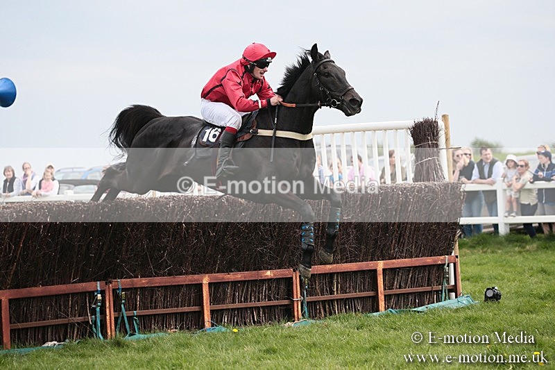 PtP 210418 219 - South & West Wilts Point-to-Point Larkhill 21/04/18