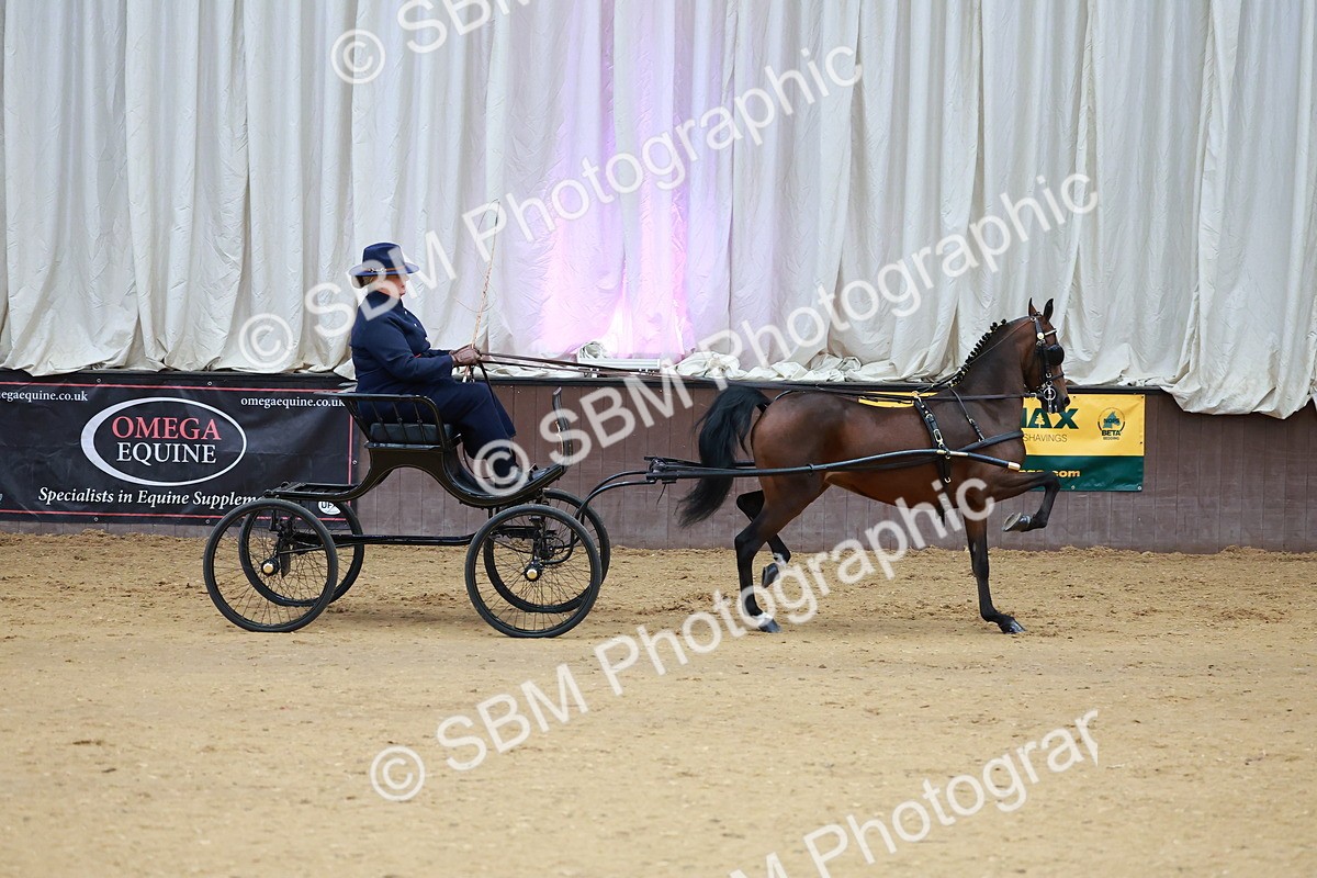 SBM_000619 - Class 9 - HHS Championship Intl Hackney Pony to a Showwagon