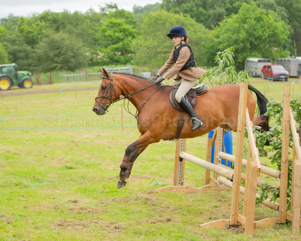 Dunblane show-321 - Dunblane and Doune Show Ring 1