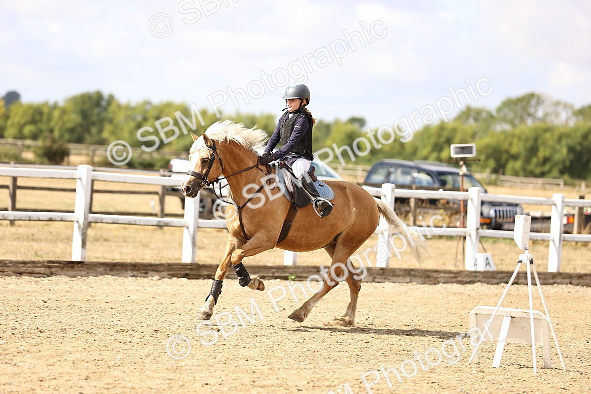 SBM_006460