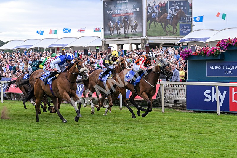 250726-Race 1-Kodiac Thriller-6742 - Race 1 13.30pm Sky Bet 'Jump Jockeys' Nunthorpe' Handicap