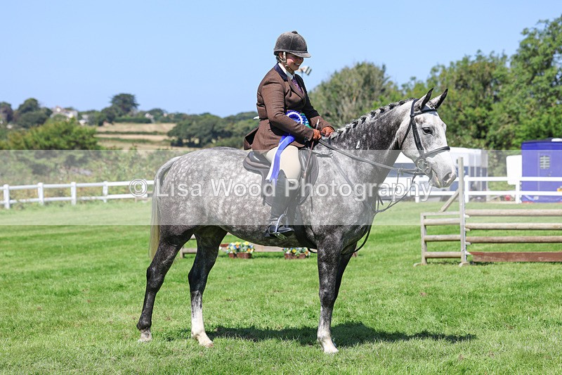 3E7A9314 - Working Hunter Championship