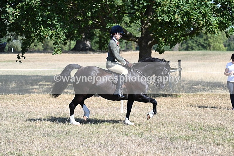 WJ7_3716 - Class 9 Mountain & Moorland Ridden