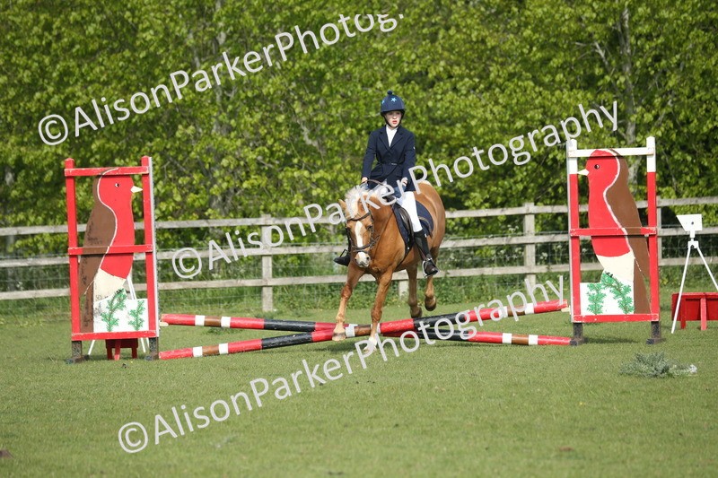 20260426-0145 - Class 13 - Rookie Jumping 50cm