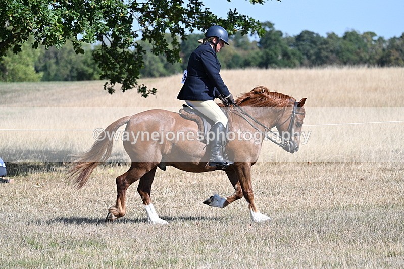 WJ7_3856 - Class 9 Mountain & Moorland Ridden