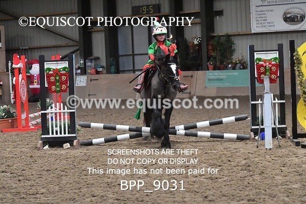 BPP_9031 - CLASS 3 50CM-70CM Pairs Show Jumping