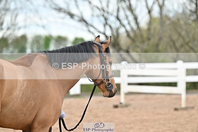 250423-144351-01285 - 2pm to 3pm