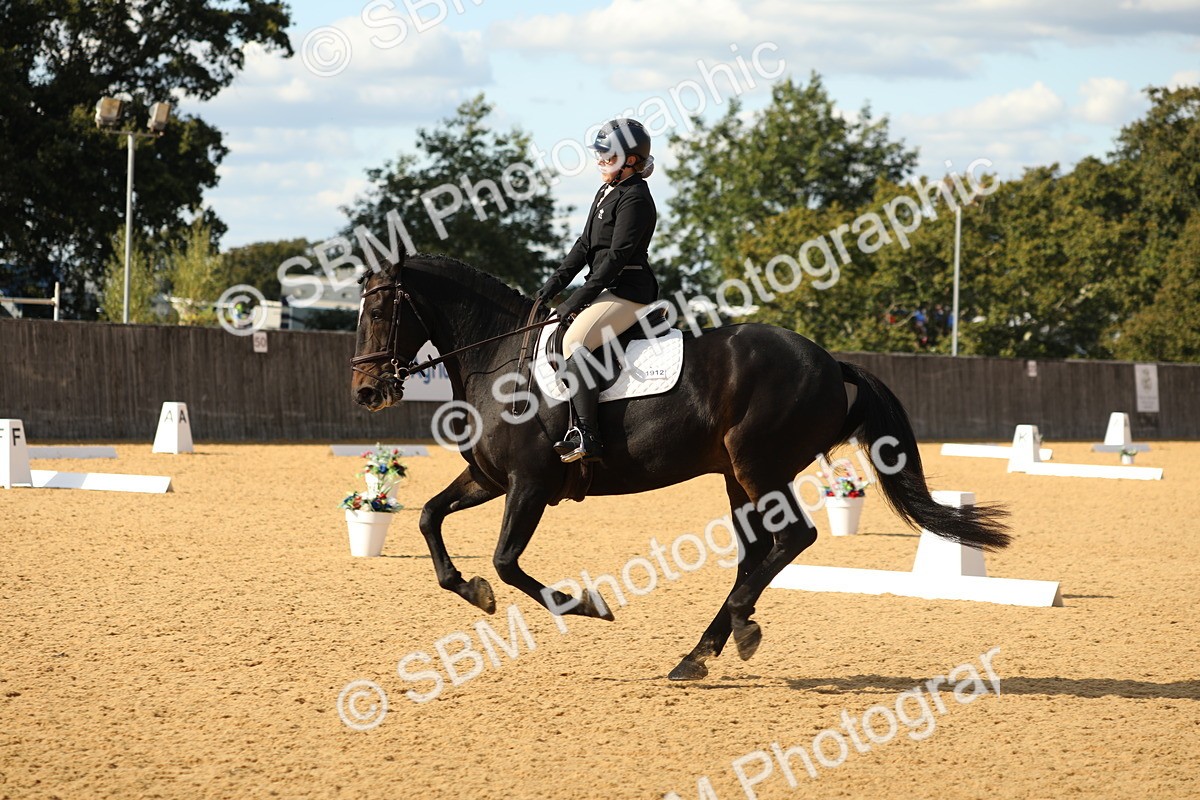SBM_26676 - D17 - Grand Tour Championship - Novice 27
