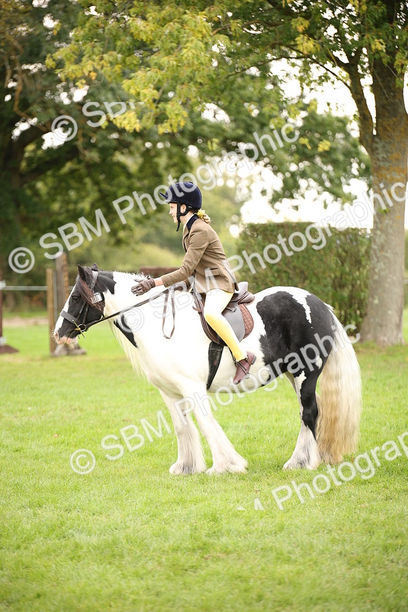 SBM_73548 - S68 - Traditional Cob Ridden