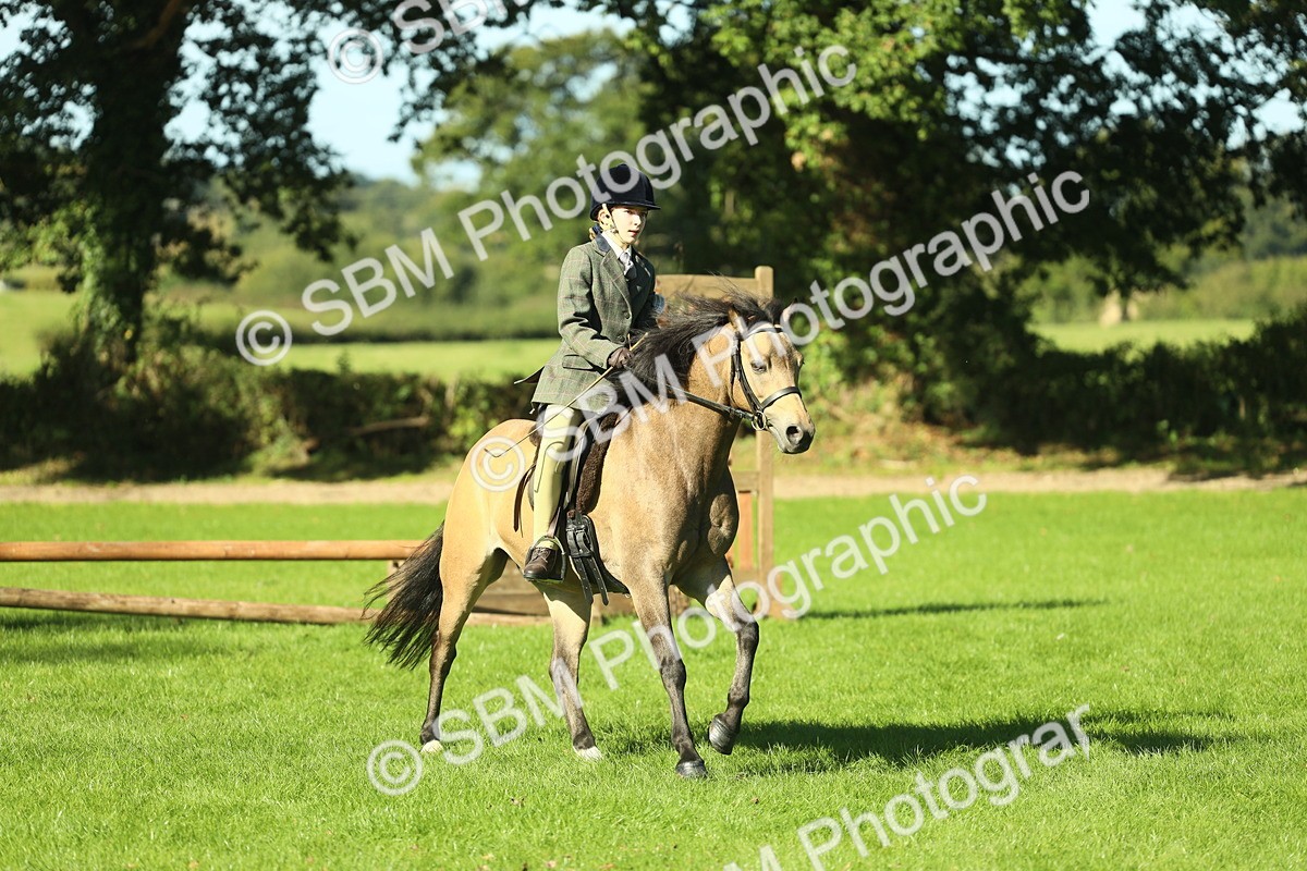 SBM_36506 - S29 - Novice & Newcomers Working Hunter Pony