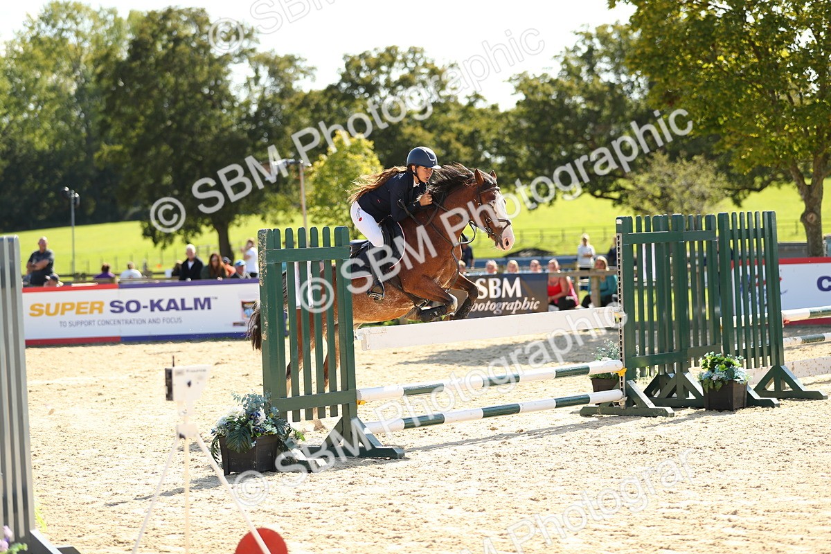 SBM_24029 - J45 - Accumulator 70 80cm