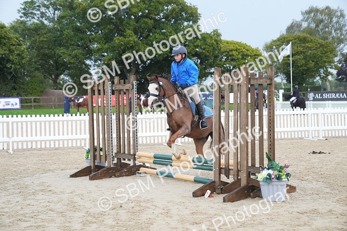 SBM_00195 - J53 - Clear Round 40cm