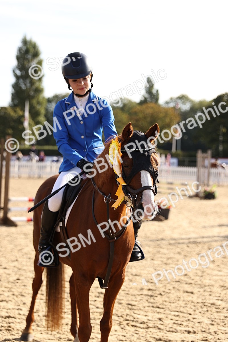 SBM_59762 - J11 - Junior Pony 50cm Championship
