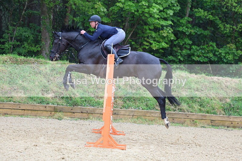 3E7A7346 - Class 8: Senior Foxhunter/1.20 open
