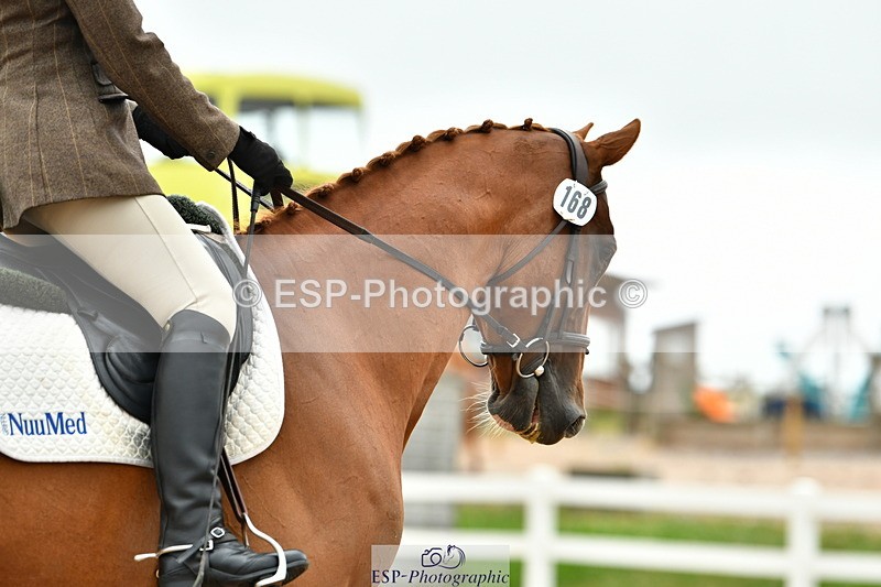 230630A-115049-01453 - Cls 5 Novice 37A