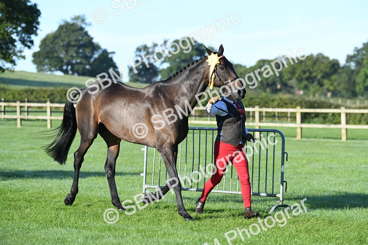 SBM_32871 - S15 - Condition & Turnout In Hand