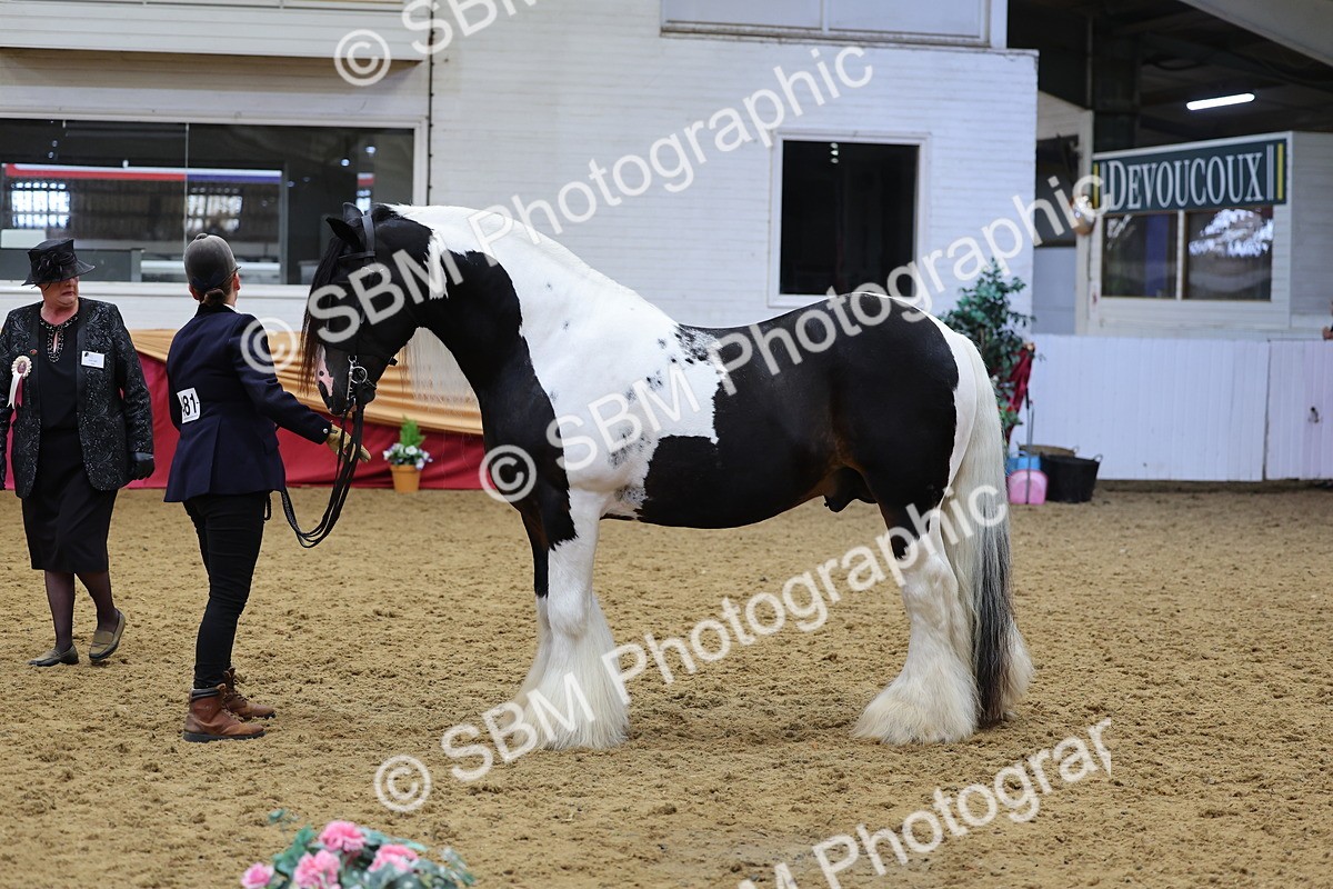 SBM_22755 - Class 903 - Supreme Final - IH Pre Vet