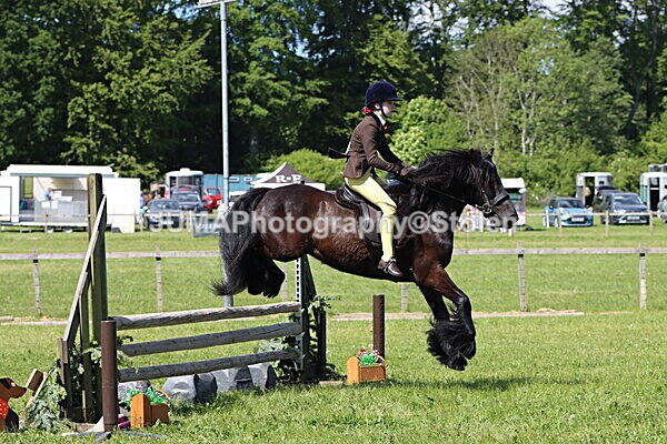 IMG_4315 - Working Hunter