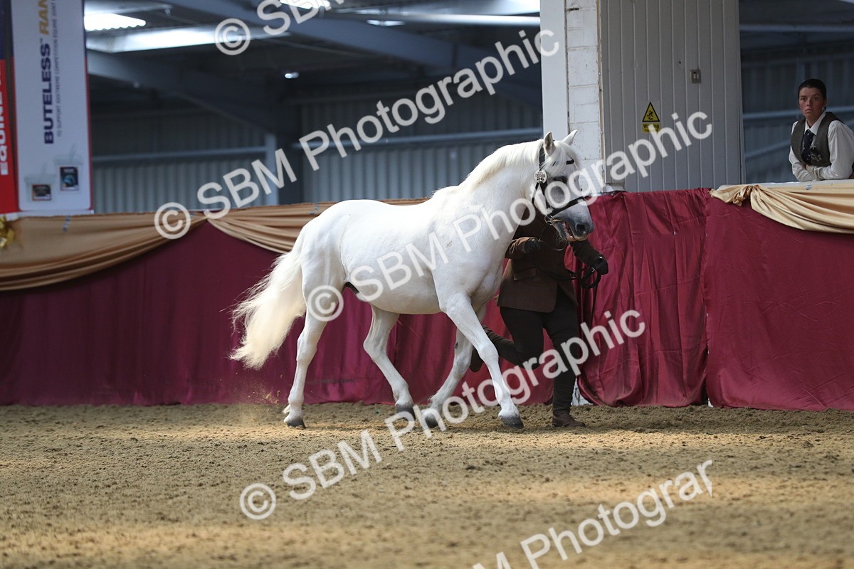 SBM_15244 - Class 501 M&M IH Supreme Final