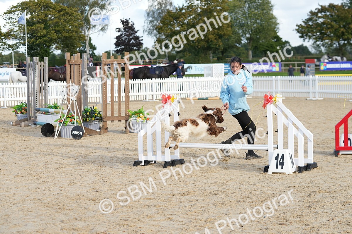 SBM_29165 - J43 - Horse & Hound Open 50cm