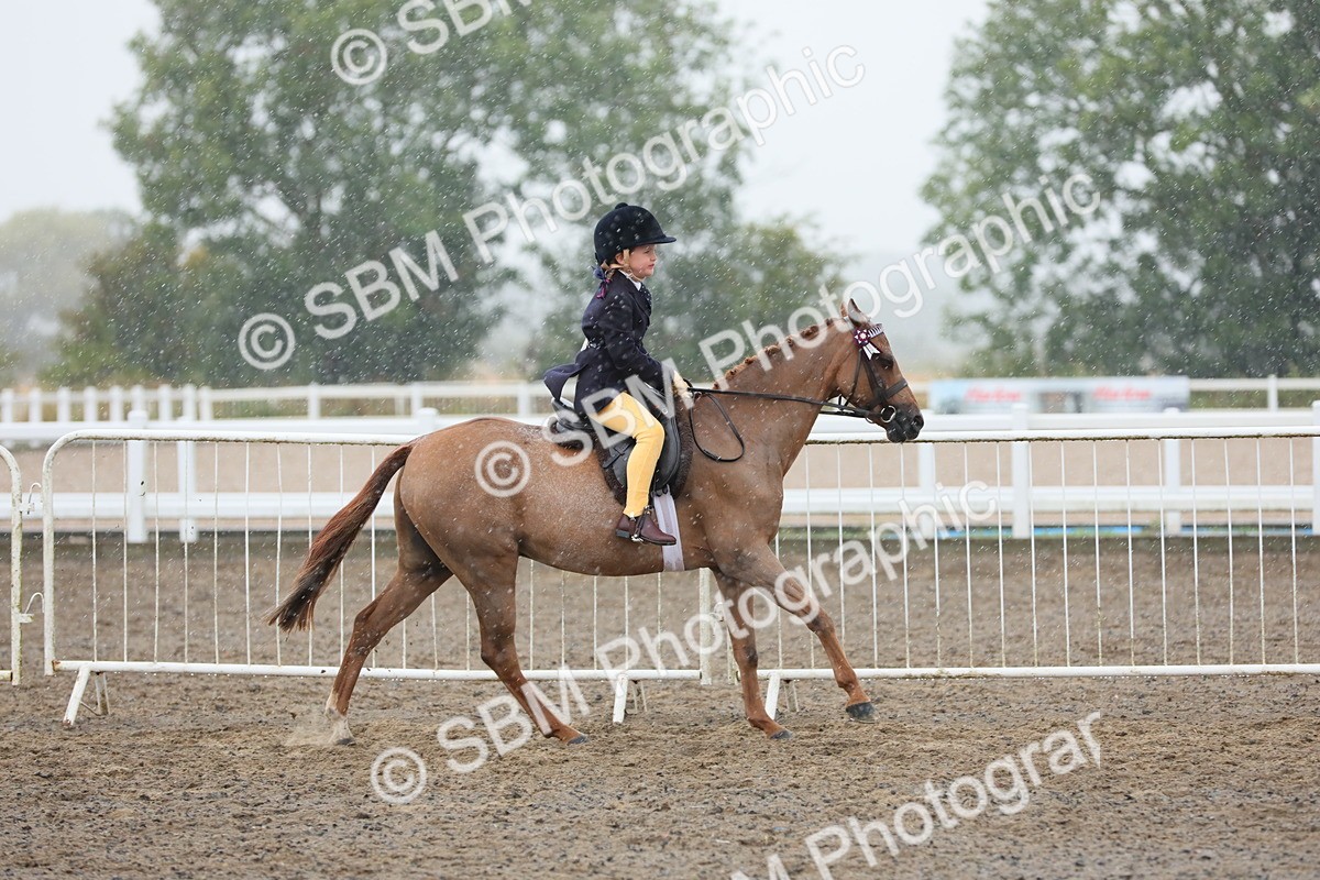 SBM_20561 - Class 804 - Ridden Veteran Pony