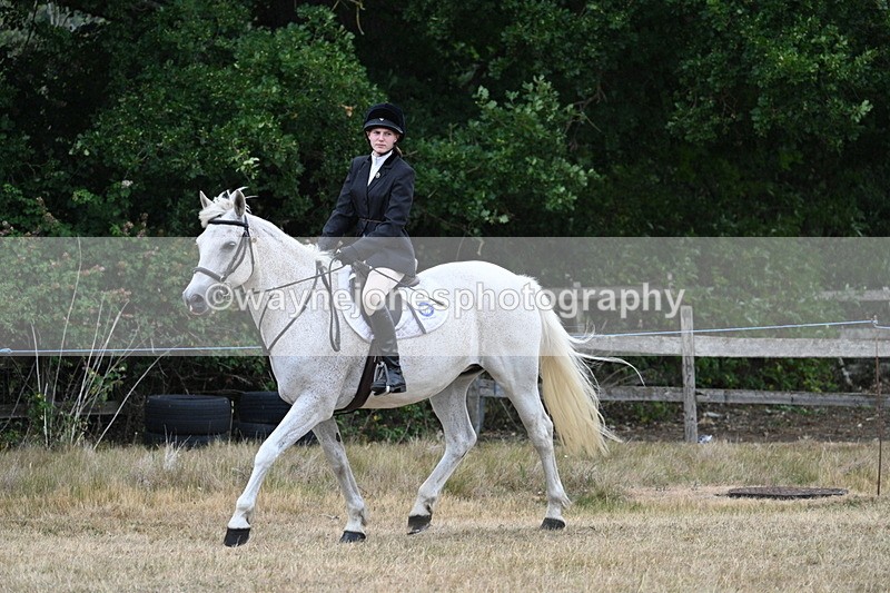 WJ7_0938 - Class 7 Riding Club Show Horse