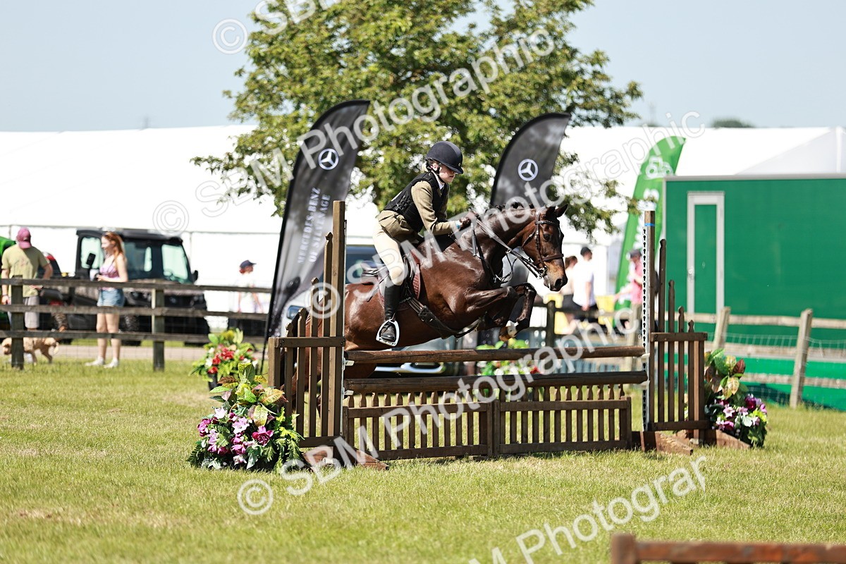 SBM_17584 - Class 112-113 - BSPS LIHS Working Sports Pony