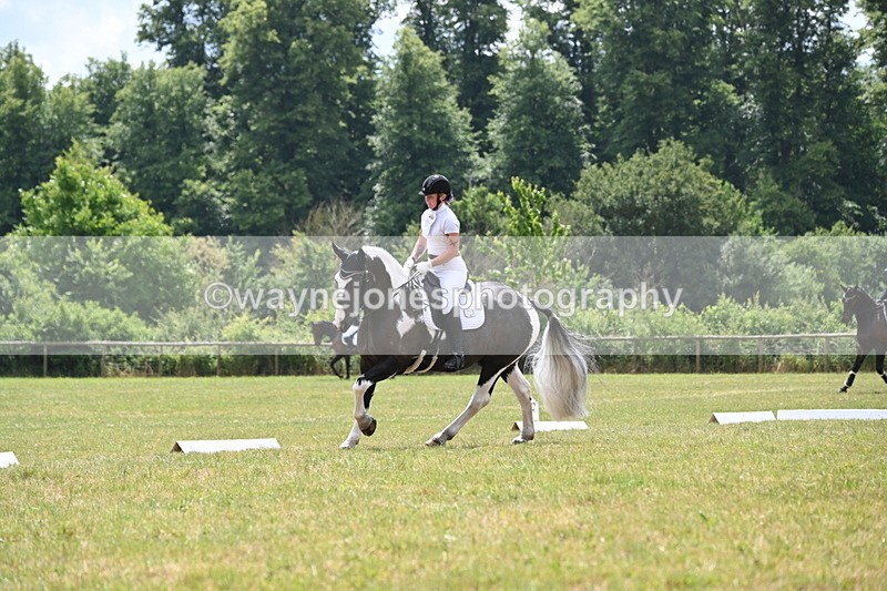 WJ6_6870 - Time 11:48 to 12:22