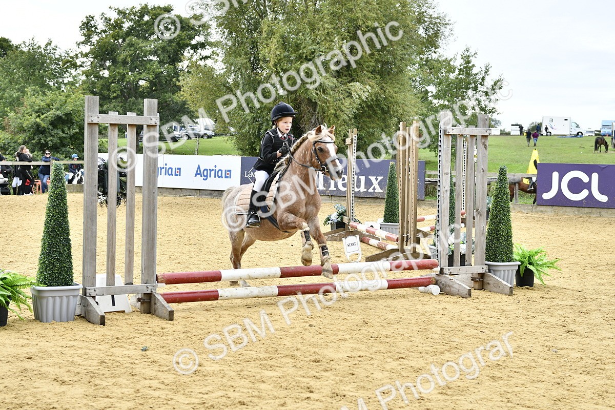 SBM_65514 - J2a mini Tour Junior Pony 30cm Championship