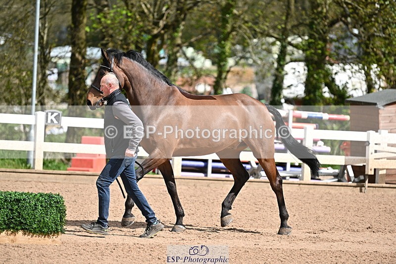 240417A-113442-00033 - 11am to 12pm