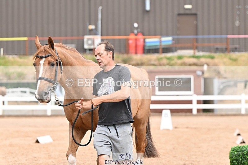 250716-153937-02091 - Trot Up 3.30 to 4.30